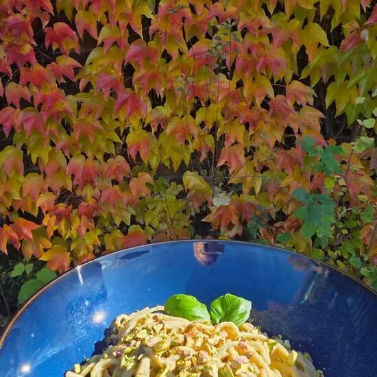 Pistacchio